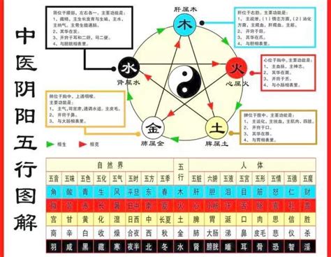 中醫五行歸類表|史上最全中醫五行系統對照表（值得收藏）